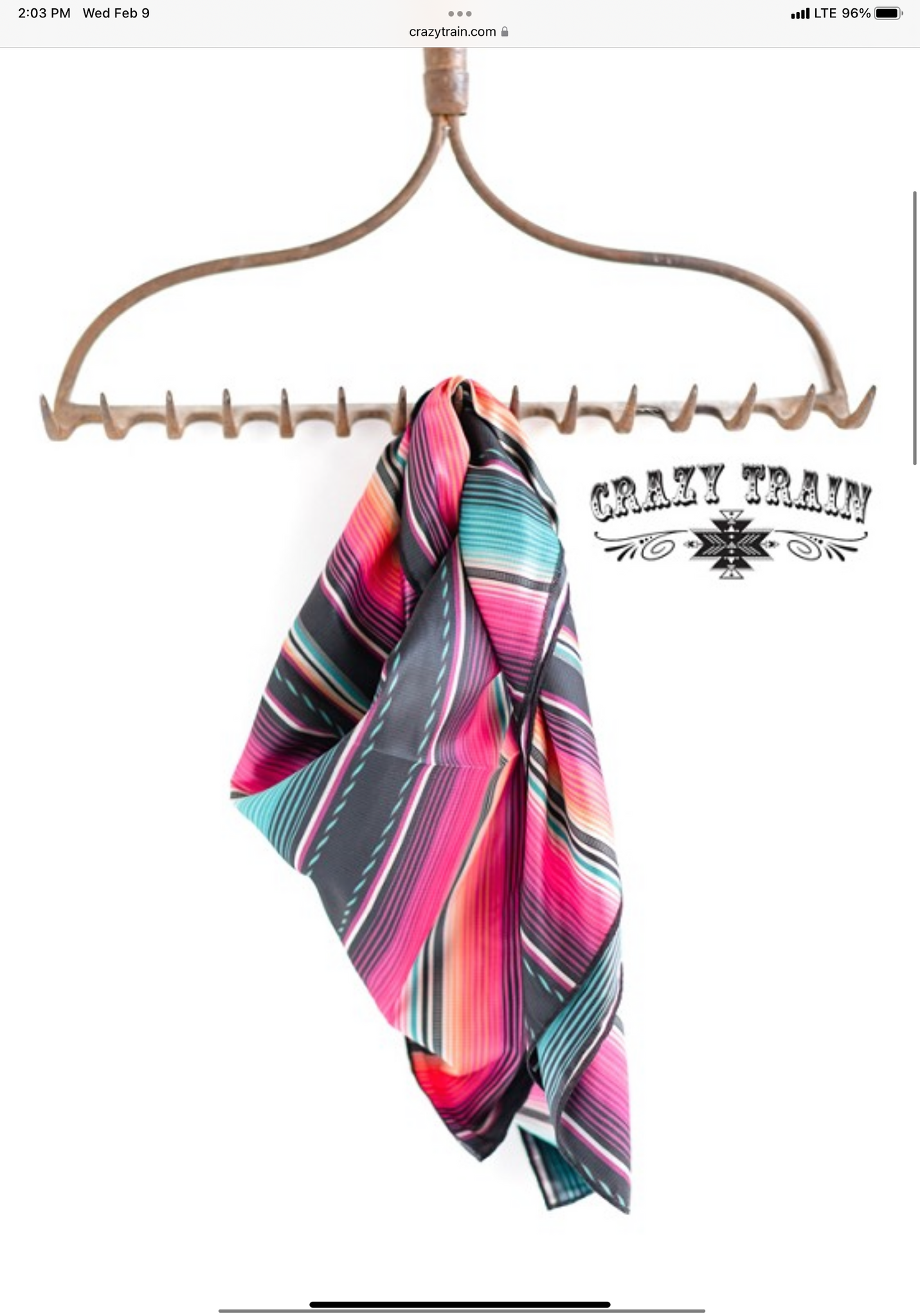 Crazy Train Wild Whip Wild Rag Serape